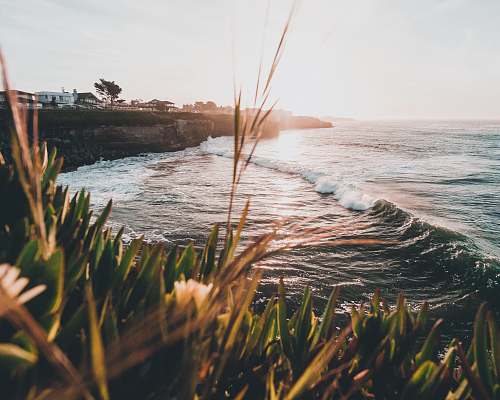santa cruz ocean wave near a cliff grass